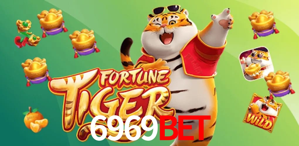 Security Systems 6969BET